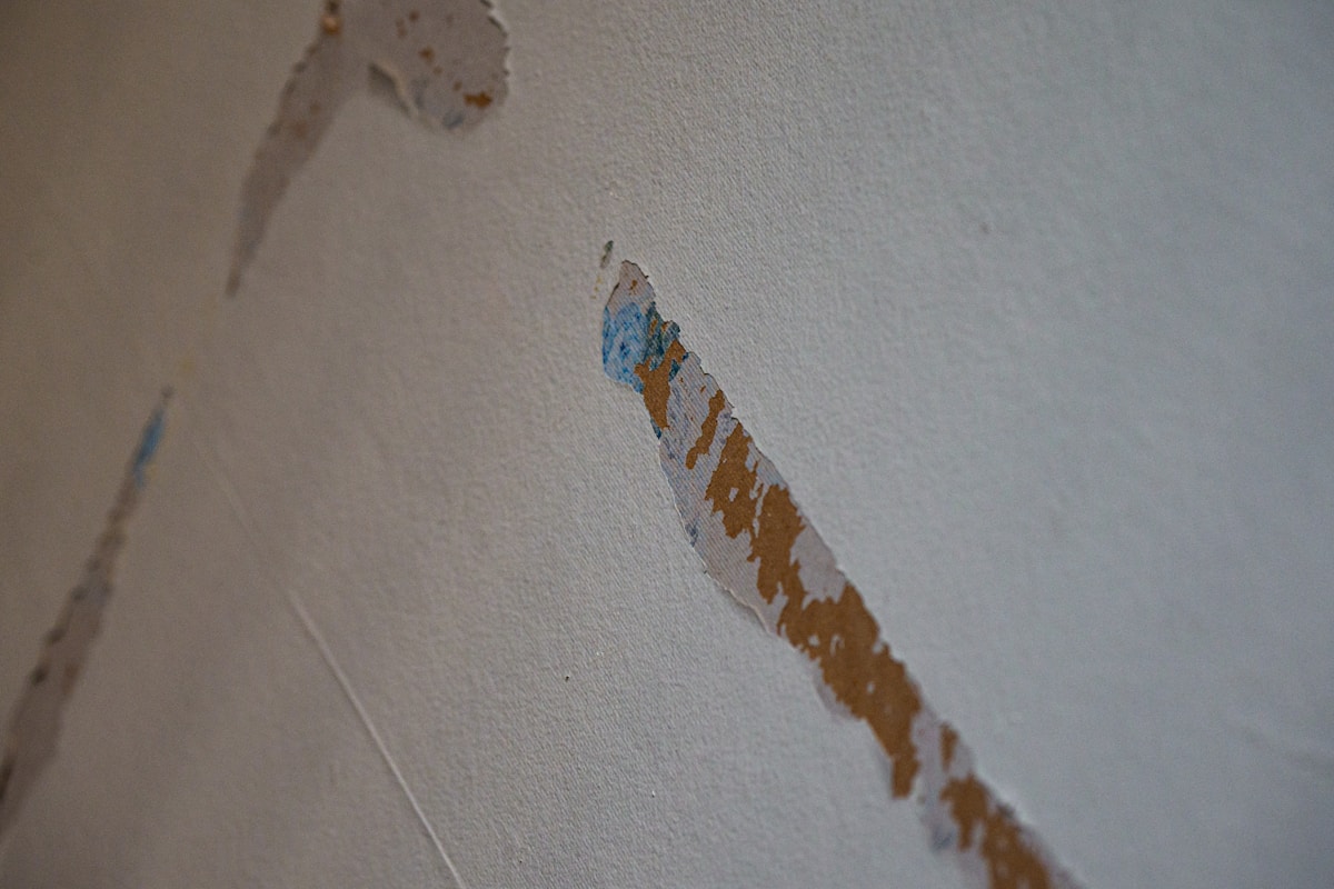 Storm Damage Repair service in Columbia, SC